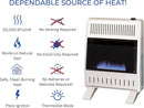 ProCom MN200TBA-B Ventless Natural Gas Blue Flame Space Heater with Thermostat Control for Home and Office Use, 20000 BTU, Heats Up to 950 Sq. Ft., Includes Wall Mount and Base Feet, White by CozyNest Decor
