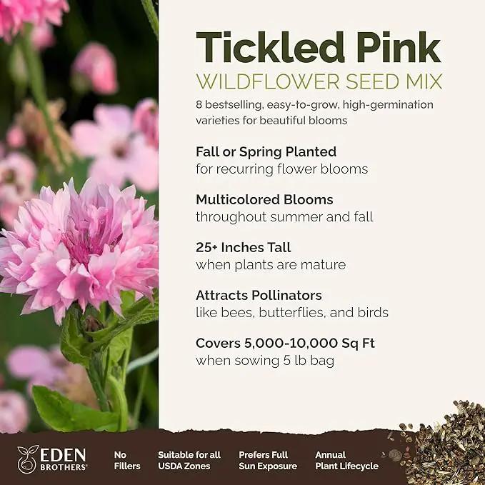 Eden Brothers Tickled Pink Flower Mixed Seeds for Planting, 5 lb, 2,400,000+ Seeds with Cosmos, Cornflower, Zinnia | Attracts Pollinators, Plant in Spring or Fall, Zones 3, 4, 5, 6, 7, 8, 9, 10, photo 2 of 6