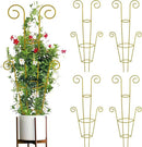 ZOUTOG Trellis for Climbing Plants Indoor 30 Inch, Houseplant Trellis for Potted Plants Metal 4Pcs for Vine Ivy Flower Support,Round Shape,Golden by GreenHaven Gardens