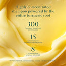 SHAZ & KIKS Ultra Hydrating Turmeric Shampoo | Sulfate-Free Shampoo for Dry, Itchy, Flaky Scalp | Deliver Deep Hydration with Turmeric & Kokum Butter, Travel Size by TinyTreasures Baby Boutique