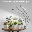 Super Bright Plant Grow Light Clip-on, 6000K Full Spectrum Gooseneck Growing Lamp with White Red Blue LEDs for Indoor Plants, Dimmable, Auto On/Off Timer 4/8/12Hrs, Independent Control Light Bars by GreenHaven Gardens