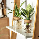 Glass Plant Propagation Stations for Plants – Set of 4(4 Large & 4 Small) Hydroponic Vases for Plant Cuttings,Flower Arrangements, Home & Office Decor–Desktop Vases for Living Room, Bedroom (8) by GreenHaven Gardens