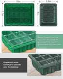 4 Packs Medium Seed Starter Tray, Adjustable Brightness and Timer, Upgraded 24 Full Spectrum LEDs, Seed Starter Kit with Drainage Holes, Tools and Labels for Indoor Plant Growing by GreenHaven Gardens