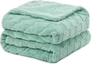 Pawque Super Soft Cozy Throw Blanket Twin Size for Couch Bed, Fluffy Sherpa Fleece Reversible Thick Warm Fuzzy Blanket for All-Season, 3D Checkered Jacquard Decorative Blankets, Sage Green, 60"x80" by CozyNest Decor