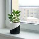 D'vine Dev 4.6 Inch Ceramic Planter Pot with Drainage Hole and Saucer, Indoor Cylinder Round Planter Pot, Oblique Monochrome Black and White, 94-O-B-K by GreenHaven Gardens