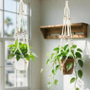 Belit 2 Pack Macrame Plant Hangers Indoor Hanging Planter Basket Decorative Flower Pot Holder Rope for Indoor Outdoor Home Decor by GreenHaven Gardens