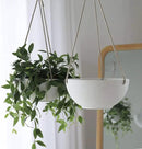 La Jolie Muse White Hanging Planter Basket - 8 Inch Indoor Outdoor Flower Pots, Plant Containers W/ Drainage Hole, Plant Pot for Hanging Plants, Pack 2 by GreenHaven Gardens