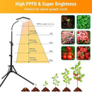 FECiDA Grow Lights for Indoor Plants with Stand, UV-IR Full Spectrum LED Standing Plant Grow Light, 2000 Lumen Houseplant Growing Floor Lamp with On/Off Switch, Daisy Chain Function by GreenHaven Gardens