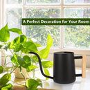 Plant Watering Can,35oz Metal Watering Can,Stainless Steel Watering Can Indoor Plants with Long Curved Spout,Small Watering Can for Indoor Plants,Bonsai Outdoor Garden Modern Decorative(Black) by GreenHaven Gardens