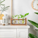 Plant Propagation Station,Plant Terrarium,Plant Starter,Gifts for Plant Lovers,Glass Bulb Terrarium with Retro Solid Wooden Stand for Hydroponics Plants Home Garden Wedding Décor (3 Bulbs) by GreenHaven Gardens