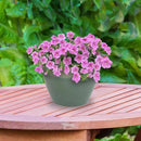 Sunnydaze Chalet Large Ceramic Plant Pot - Round Outdoor Glazed Ceramic Planter Pot with Drainage - Seafoam - 14.5" by CozyNest Decor