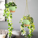 ZMTECH 6.5 Inch Hanging Planters for Indoor Outdoor Plants, 2 Pack Self Watering Hanging Plant Pots with Drainage Holes and Removable Saucer, Plastic Flower Hanging Pots with Watering Lip (Green) by CozyNest Decor