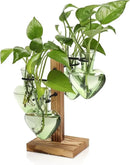 Plants Propagation Stations Plant Terrarium Kit Glass Planters for Indoor Plants House Plant Accessories Gift for Women - 4 Love Bulb Vase by GreenHaven Gardens