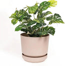 Elly Décor 14 inch Plastic Cylinder Planter Pot with Self-Watering Saucer and Drainage Hole,Lightweight & Extremely Durable, 14"x 14", Ivory by CozyNest Decor