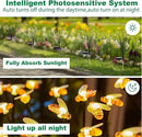 32 LED Spring Bee Garden Lights Solar Powered Honeybees Outdoor Decorations Swaying Lights Waterproof Solar Firefly Landscape Lights Warm Yellow for Pathway Yard Lawn Patio Walkway Courtyard(4Pack) by GreenHaven Gardens