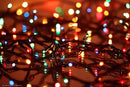 Solar Christmas Lights Outdoor Waterproof, 400 LED 137FT Solar Powered LED String Lights Green Wire with 19 Modes Waterproof Fairy Lights for Bedroom Patio Garden Tree Party Yard Decoration by GreenHaven Gardens