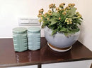 UNESCO Heritage Longquan Celadon Tea Canister Set - Dual Ceramic Jars, 900ml Airtight Storage with Plum Green & Powder Blue Glazes | Elegant Chinese Craftsmanship by CozyNest Decor
