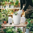 8 Inch Ceramic Planter Pot Round Plant Pot with Drainage Hole and Saucer Modern Flower Pot for Indoor Outdoor Plants White by GreenHaven Gardens