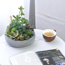 MyGift Assorted Indoor Fake Plants Artificial Succulent Arrangement in Round Gray Cement Planter Pot by CozyNest Decor