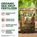 Organic Sea Kelp Fertilizer for Plants – Water-Soluble – Makes 100 Gallons – Kelp Meal Concentrate Plant Food – for Indoor Gardens, Hydroponics, Vegetables, Houseplants - Smart Grower - 4oz Bag by GreenHaven Gardens