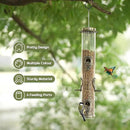 MIXXIDEA 2PK Metal Wild Bird Feeder Squirrel Proof Bird Feeders for Outside Hanging 6 Port Tube Bird Feeder Transparent Finch Feeder with Steel Hanger (Bronze) by CozyNest Decor