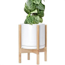 D'vine Dev Ceramic Planter with Natural Stand - 10 Inch Modern Round Flower Pot with Wood Planter Holder, White, 55-B-K-1 by CozyNest Decor