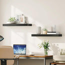 HOOBRO Floating Shelves for Wall, Wall Mounted Shelf Set of 2, 23.6" Hanging Shelf with Invisible Brackets, for Wall in Bathroom, Bedroom, Toilet, Kitchen, Living Room, Office, Black BK60BJ01 by CozyNest Decor