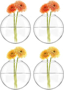 Mkono Wall Hanging Planter Propagation Station Glass Flower Vase for Hydroponics Plants, Bathroom, Home Office Living Room Decor Gift, Oblate Set of 4 by GreenHaven Gardens