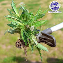 Walensee Upgraded Weed Puller, Stand Up Weeder Hand Tool, Long Handle Garden Weeding Tool with 5 Claws, Hound Weed Puller for Dandelion, Standup Weed Root Pulling Tool and Picker, Grabber (1 Pack) by GreenHaven Gardens