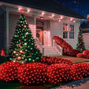 6Ftx4Ft LED Christmas Net Lights Green Wire,Connectable UL Certified Waterptoof Net Lights for Bushes Trees Shurb Garden Outdoor Christmas Decorations by GreenHaven Gardens