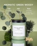 M&SENSE Eucalyptus & Mint Candles for Home Scented, 19.4oz 110 Hours Burn Soy Aromatherapy Candle Gift for Stress Relief, Meditation, Yoga, Relaxing SPA, Natural Soy Wax for Men and Women by CozyNest Decor