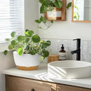 10 Inch Pots for Indoor Plants, Large Self Watering Planters with Drainage and Saucers, Plastic Outdoor Flower Pot, Set of 2, White by GreenHaven Gardens
