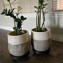 WanderingDonkey 2 Pack of 14 Inch Heavy Duty Plant Caddy with Wheels,Rolling Plant Stand Pot Trolley, Potted Flower Mover Dolly with Casters Round Coaster for Indoor Outdoor, Brown by GreenHaven Gardens