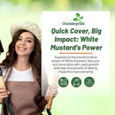 Outsidepride White Mustard Seeds for Planting - 10 lb Annual Cover Crop Seeds w/Deep Root System, High Protein Forage, Ideal for Soil Fertility, Crop Rotations, & Livestock Nutrition by GreenHaven Gardens