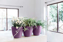 GARDENIX DECOR Self Watering Pots for Indoor Plants 3 Pack - Flower Pot with Water Level Indicator for Plants, Grow Tracking Tool - Self Watering Planter Plant Pot - Coco Coir - Purple by GreenHaven Gardens