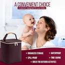 BreastMilk Cooler with Ice Packs and Tote Bags for Nursing, Large Capacity, Waterproof, Fits 9 Baby Bottles Up to 11 oz, Dark Brown by TinyTreasures Baby Boutique