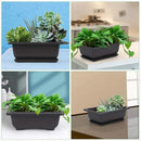 GROWNEER 6 Packs 6.5 Inch Bonsai Training Pots with Drainage Humidity Trays, Bonsai Tree Kits with 1 Repotting Mat, Growing Planter for Garden, Yard, Balcony, Office, Indoor, Outdoor by GreenHaven Gardens