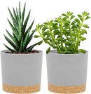 QCQHDU 5 inch Plant Pot, 2 Pack Planters for Indoor Plants with Drainage Holes & Saucer, Outdoor Flower Pots Home Garden Modern Decor by GreenHaven Gardens