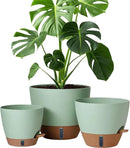 12/10/8 Inch Self Watering Pots for Indoor Plants Plastic Large Plant Pot for Outdoor Plants, Water Level Window & Spacious Reservoir Flower Pots Decorative Planter with Drainage and Tray (Green) by CozyNest Decor