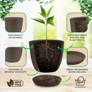 Planter Pots with Drainage Holes - Lightweight, Durable & Space-Saving Pots for Indoor and Outdoor - Versatile Functionality, Simple Modern Design, Set of 5 Plastic Planter Pots - Brown by GreenHaven Gardens