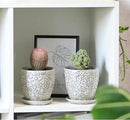 4 Inch Mini Plant Pots, Ceramic Succulent Planter with Drainage Hole and Saucers for Indoor Plants, Small Garden Pots for Succulent, Herb and Flower, Set of 4 by CozyNest Decor