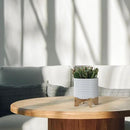 8" Ceramic Planter Stand, White with Wooden Base, Indoor/Outdoor Planter with Stand for Your Succulents and Small Plants, White Planter by GreenHaven Gardens