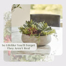 Round Faux Succulent Arrangement, 14" Premium Artificial Indoor Plant Enhances Interior Design, Display on Any Surface in Your Home Adding an Inviting Touch of Nature, Natural Planter Pot Included by GreenHaven Gardens