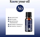 Sleep Essential Oil Blend for Diffuser - Dream Essential Oils for Diffusers Aromatherapy and Relaxation with Clary Sage Ylang-Ylang Roman Chamomile and Lavender for Sleep Time Support (10mL) by CozyNest Decor