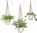 Dahey Macrame Plant Hanger Set of 3 with Hooks Indoor Hanging Planter Basket 35"/29"/23" Handmade Woven Cotton Rope Flower Pot Crochet Plant Holder Stand for Boho Home Decor No Tassels,Brown by GreenHaven Gardens