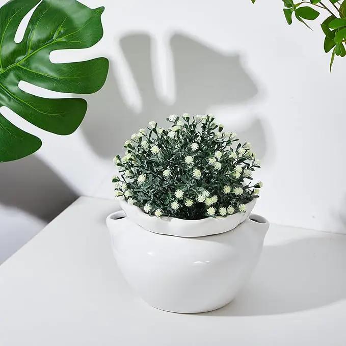 4 Set 6 Inches African Violet Pots Self Watering White Ceramic Pot for Indoor Plants, Flowerpot with Highly Absorbent Inner Pot for Busy Plant Lovers,Plant Care, photo 5 of 6