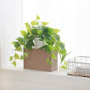 Tiita 1 Pack Fake Plants Artificial Scindapsus Aureus in Pots, Realistic Fake Greenery Potted Plants for Home Office Desk Window Sill Bathroom Bedroom Outdoor Indoor by CozyNest Decor