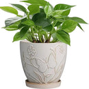6 Inch Ceramic Plant Pot for Indoor Plants Outdoor Round Planter Flower Pot with Drainage Hole and Saucer for Home Garden Office Decor White by CozyNest Decor