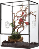 NCYP Glass Terrarium with Front Opening Door and 3 Vents for Insects, Snail, Spider, Glass Enclosure - 8"x4.5"x10" Clear Closed Plant Greenhouse Box (Terrarium Only) by GreenHaven Gardens