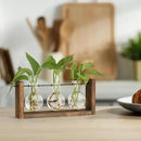 YIBOT Plants Propagation Stations,Plant Terrarium with Wooden Stand Wall Hanging Glass Planter Plant Propagation Vase for Indoor Office Home Garden Decor Plant Lover Gifts for Women by CozyNest Decor